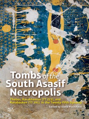 cover image of Tombs of the South Asasif Necropolis